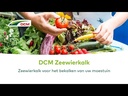 DCM ZEEWIERKALK korrel - zak van 20kg (250m²)