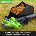 Greenworks GD40BV Accu bladblazer en zuiger 40 volt