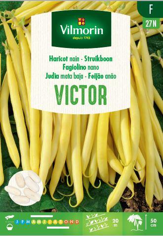 Struikboon Victor 100g