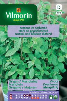 [522] Oregano Marjolein Doorlevend