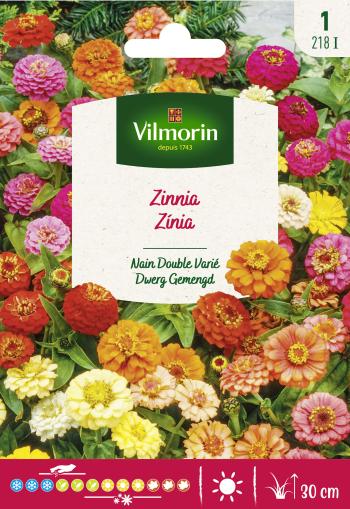 [218I] Zinnia Dwerg gemengd