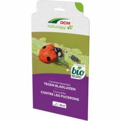 DCM Adali-Guard® Lieveheersbeestjes tegen bladluizen in de sier- en moestuin